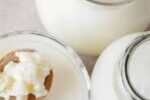 Kefir superalimento