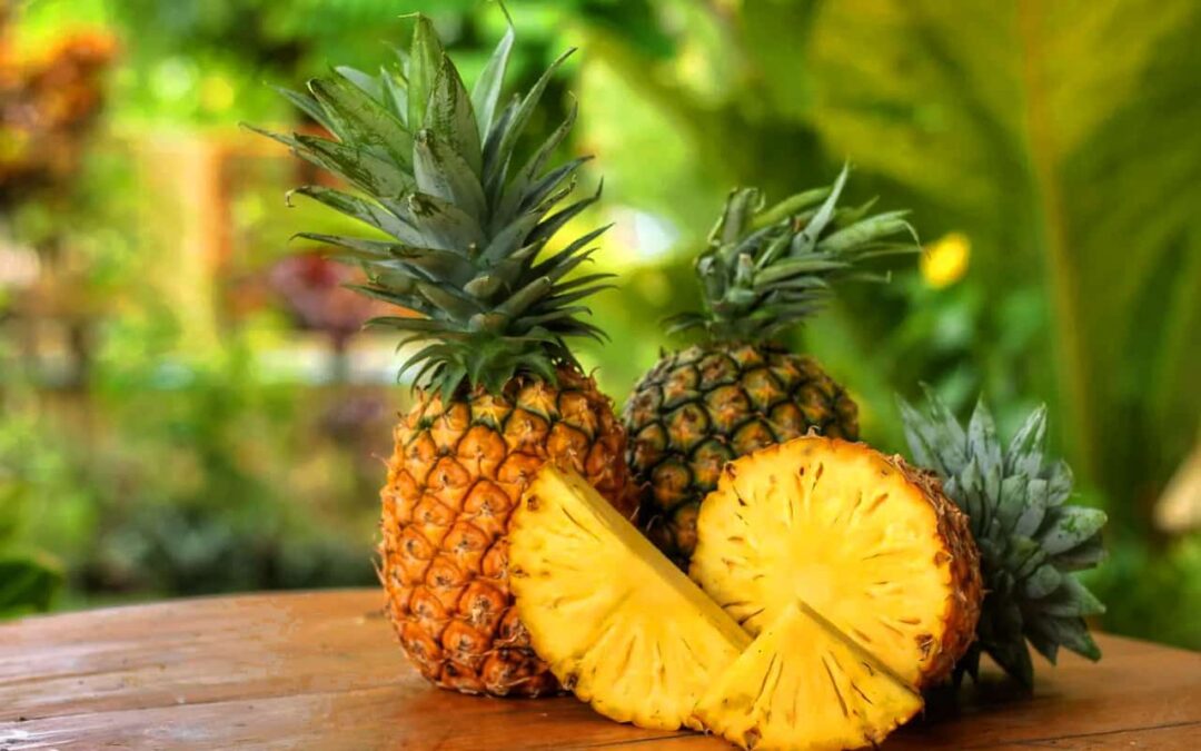 Piña: qué es, beneficios, usos y propiedades