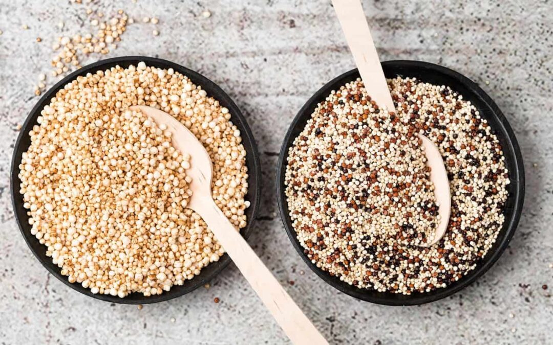 Quinoa: qué es, beneficios, usos y propiedades