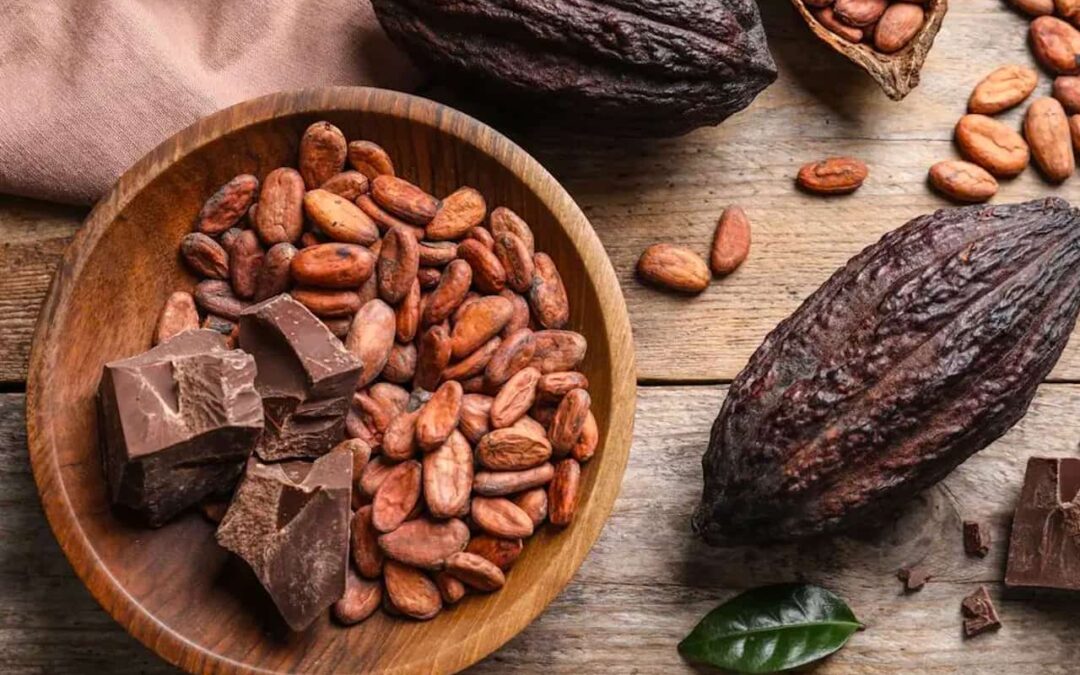 Cacao: qué es, beneficios, usos y propiedades